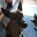 Nathalie Beaulne - Facebook