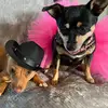 natalieblais833 - @natalieblais833 - TikTok