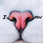 Natalie Booysen - Facebook