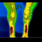 Natalie Bowles - @equine_thermal_imaging - Instagram