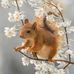 Natalie Brosius - Facebook