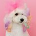 Natalie Bruner - Facebook