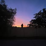 Natalie Bryson - @tpbnat_008 - Instagram