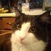 Natalie Bunch - Facebook