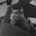 Nathalie Cad - Facebook