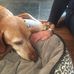 Natalie Canavan - Facebook