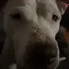 Natalie Cantrell - @natalie.cantrell8 - TikTok