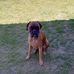 Nathalie Capelle - Facebook