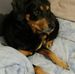 Nathalie Capelle - Facebook