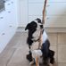 Nathalie Capelle - Facebook