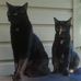 Natalie Carver - Facebook