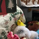 Natalie Casper - @gocubbies74 - Instagram