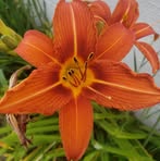Natalie Conklin - Facebook