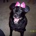 Natalia Connelly - Facebook