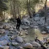 nataliecorrales - @nataliecorraless - TikTok
