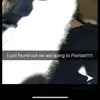 nataliecorso - @natalie..ruth - TikTok