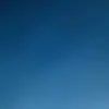 davynataliezoe - @davynataliezoe - TikTok