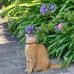 Nathalie Delagoutte - Facebook