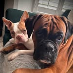 Natalie Devereux - @nataliedevereux - Instagram