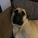 Natalie Dexter - @natalie.dexter.121 - Instagram