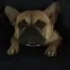 Natalie Dolan - @natalie.dolan09 - TikTok