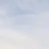 natalie - @nataliedoud - TikTok