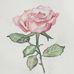 Natalie Dowd  - Facebook