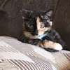 Natalie Leija798 - @natalieoduque86 - TikTok