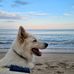 Natalie Ebert - Facebook