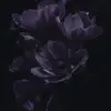 natalie♠️⚜️💜 - @natalieeeck - TikTok