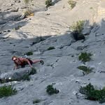 Natalie Eck - @ecki.01 - Instagram