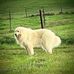 Nathalie Eckert - Facebook