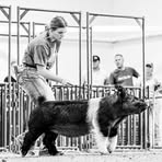 Natalie Einck - Facebook