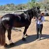 Natalie Kim McGregor Ellender - @nataliekimellender - TikTok
