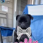 Natalie Inlow - Facebook