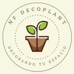 Natalie Favela - @nf_decoplant - Instagram