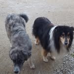 Nathalie Fleury - @nathalie.fleury.399 - Instagram