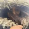 nataliegammon2 - @nataliegammon2 - TikTok