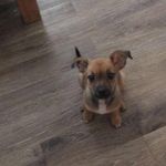 Natalie Goss - @7106707465natalie - Instagram