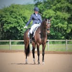 Natalie Johnson-Goss - @nataliejohnsondressage - Instagram