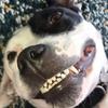 nataliegrady716 - @nataliegrady716 - TikTok