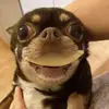 Hi ✨🌙🌞 - @natalie.graff - TikTok