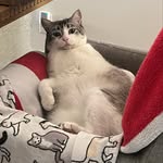 Natalie Grubb-Campbell - @tweaker_brings_joy - Instagram