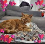 Natalie Hamilton - Facebook