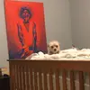 Natalie Hamilton - @nataliehamilton27 - TikTok