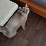 Natalie Hein - @stubbenpueppchen - Instagram