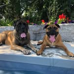 Natalie Helm - @ryersonhelmwatership - Instagram