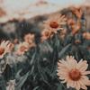 nataliehocker - @nataliehockkk - TikTok
