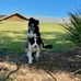Natalie Humphries - Facebook