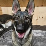 Natalie keefe - @natalie.keefe82 - Instagram